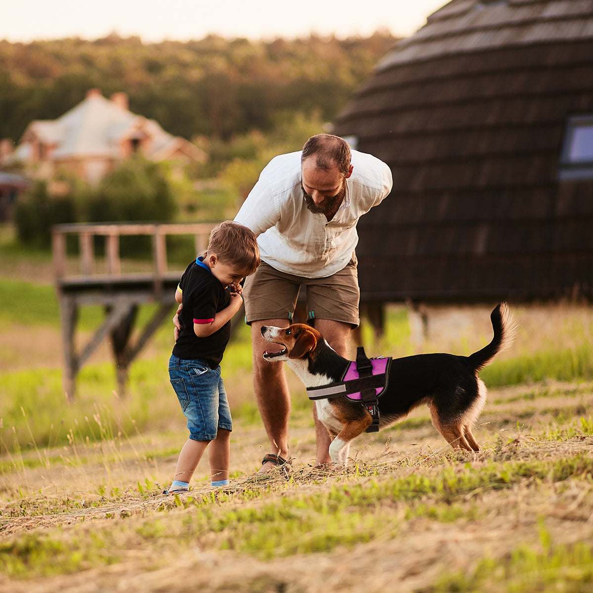 Dogline Unimax Multi-Purpose Dog Harness