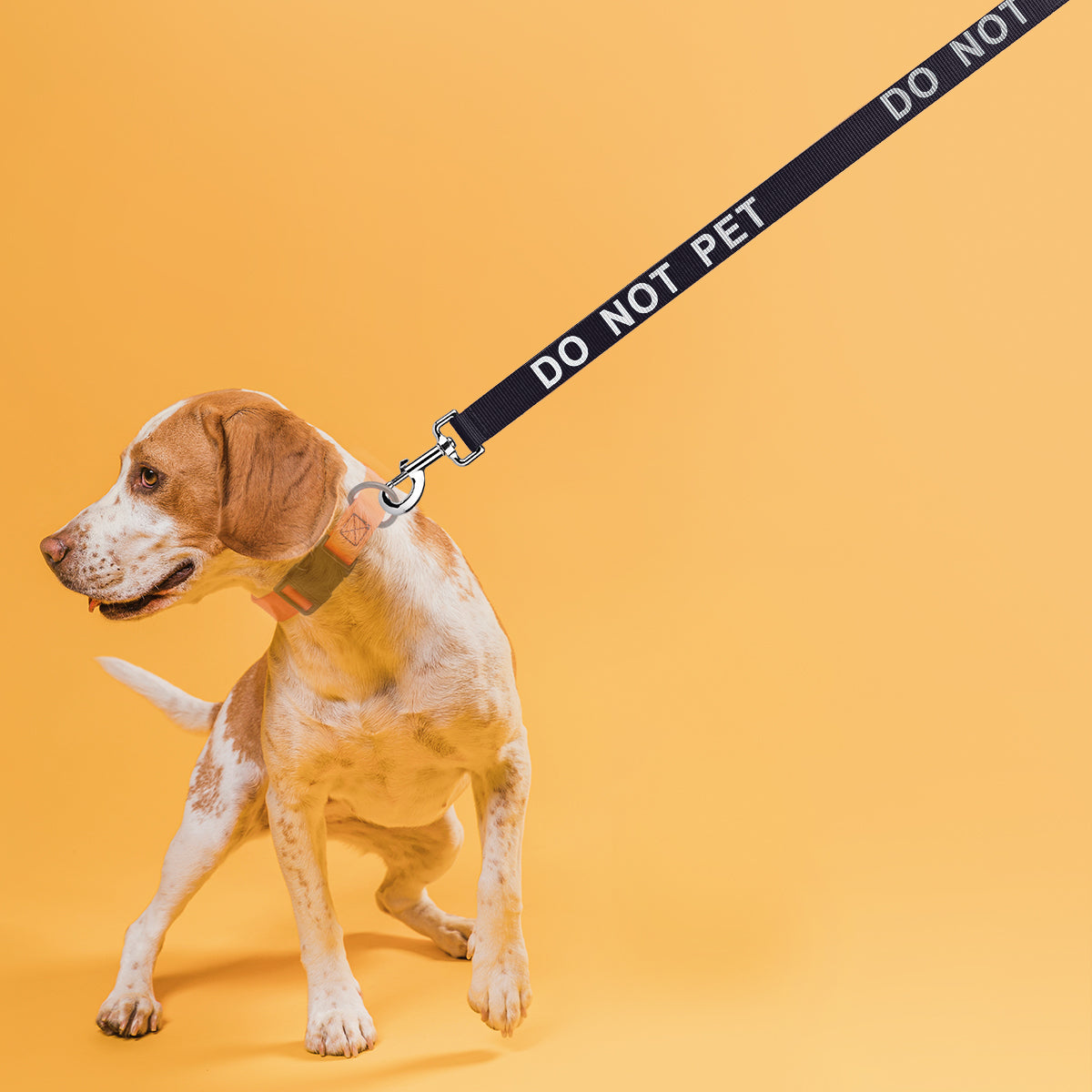 Dogline Reflective Nylon Dog Leash