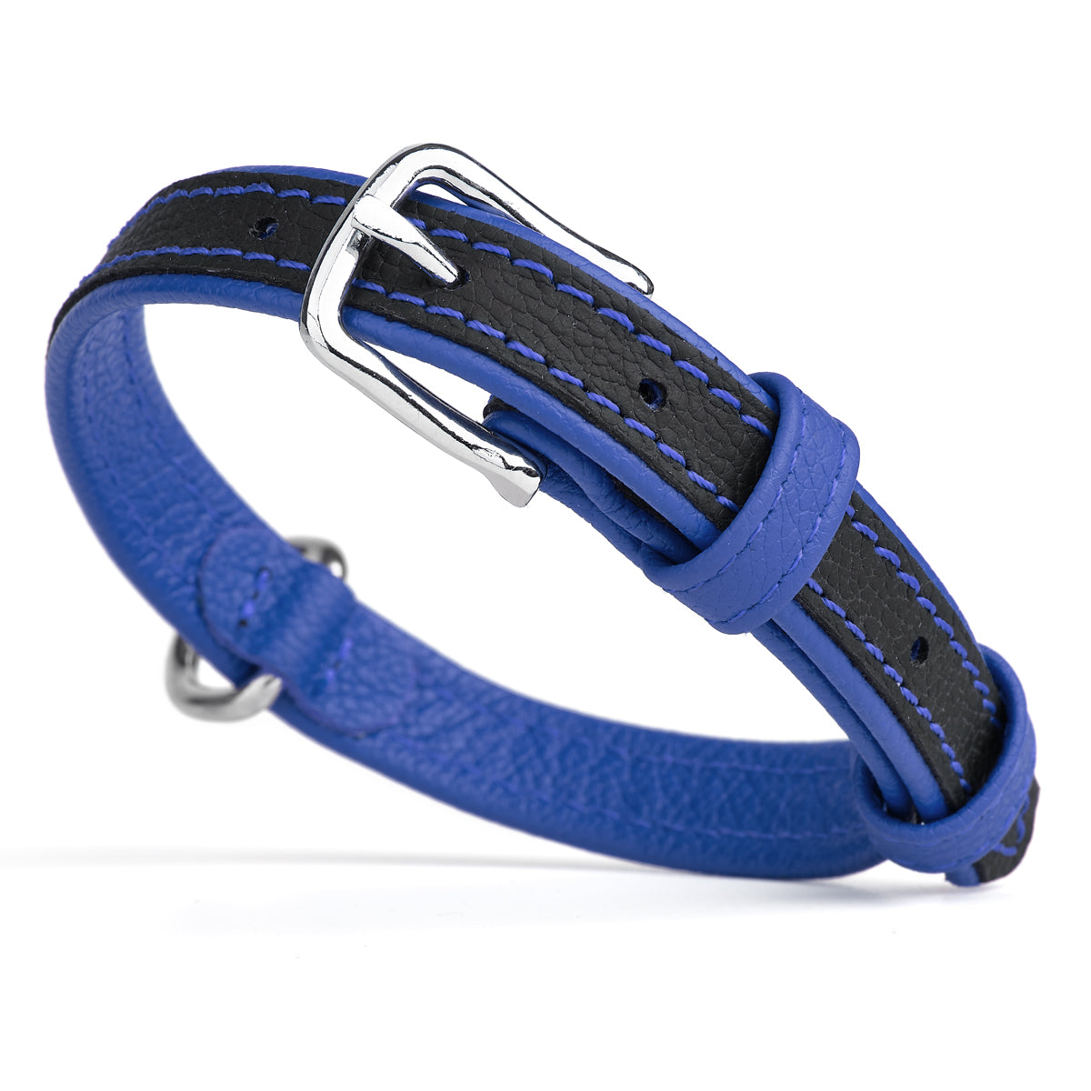 Black and blue leather dog collar with metal buckle and D-ring, flat