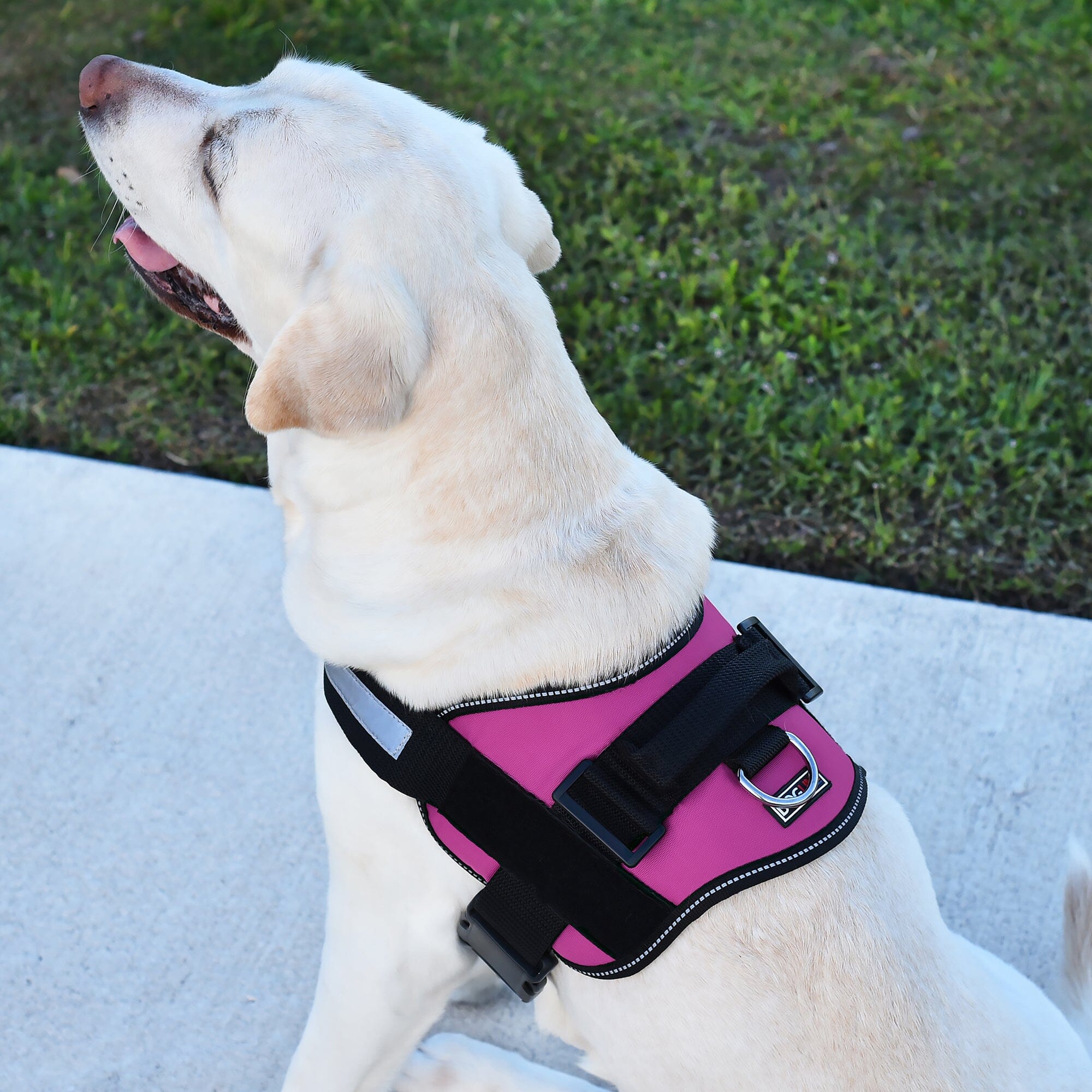 Dogline Unimax Multi-Purpose Dog Harness