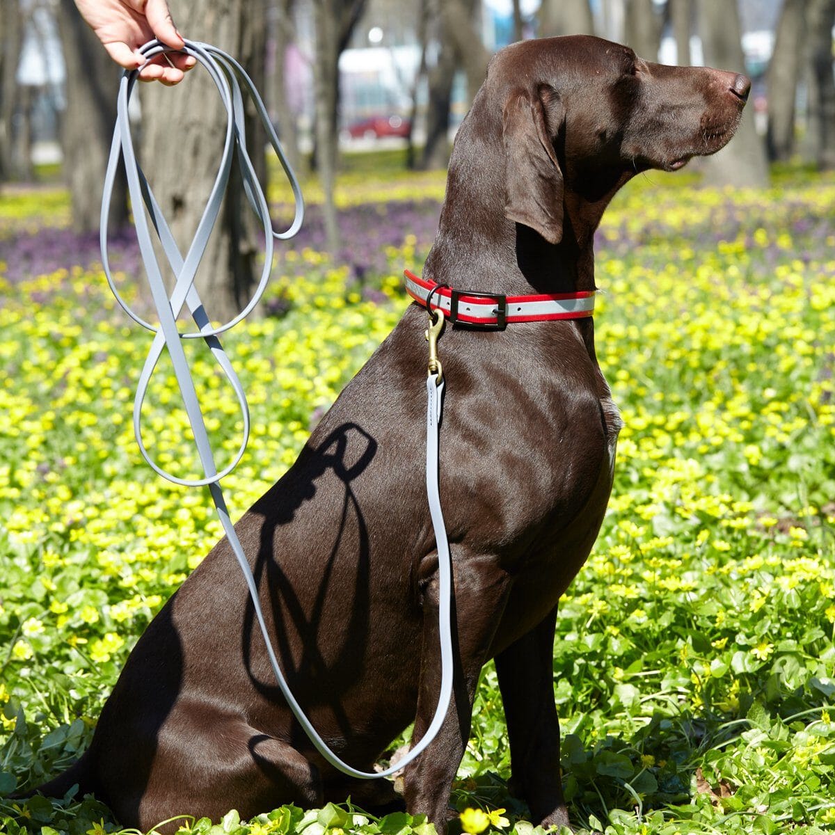 Biothane Working Dog Lead 6ft