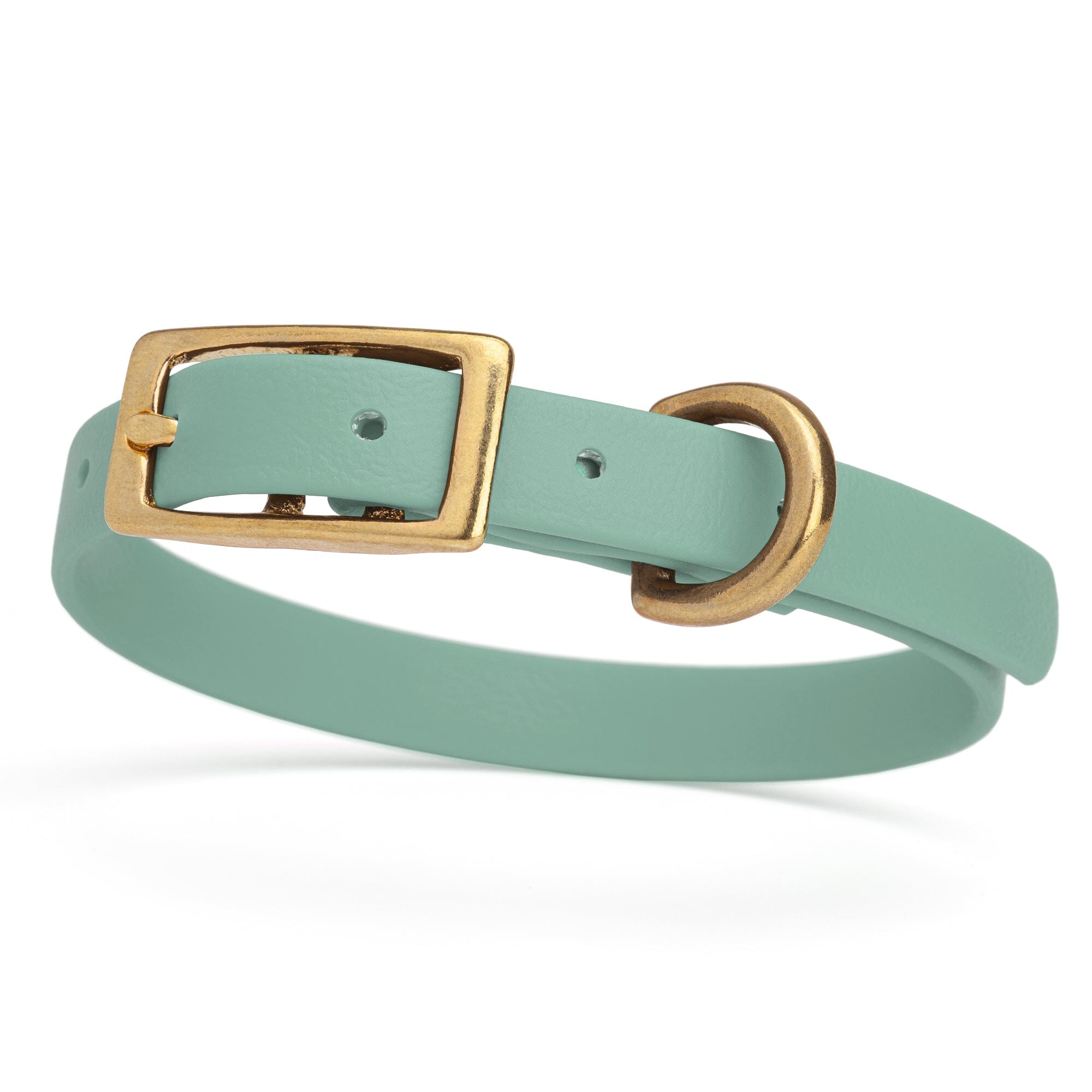 Waterproof collar for small dogs, made from Biothane with brass hardware, width 1/2 inch, Sage Green