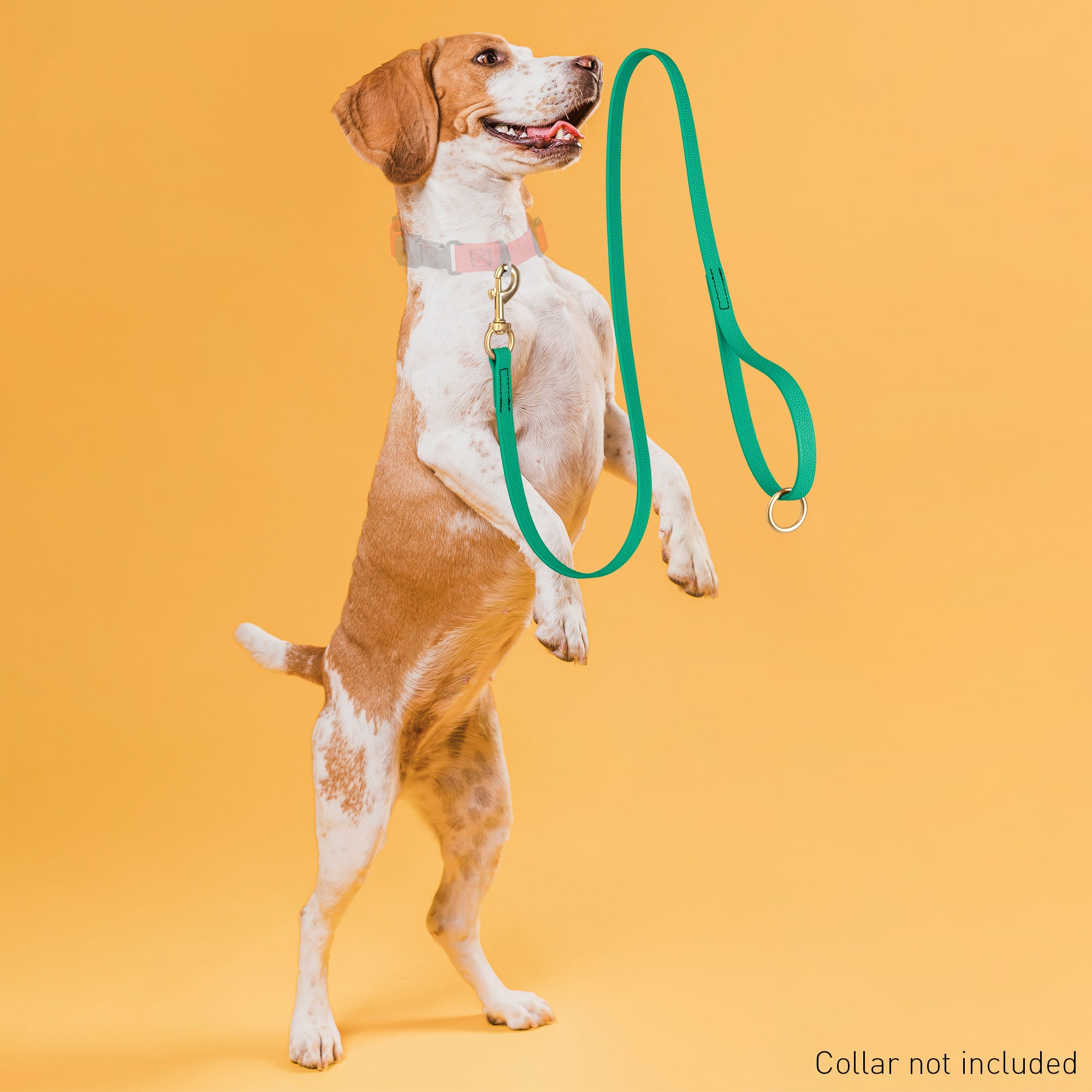 Viper Pebble Emboss BioThane Dog Leash with Solid Brass Hardware