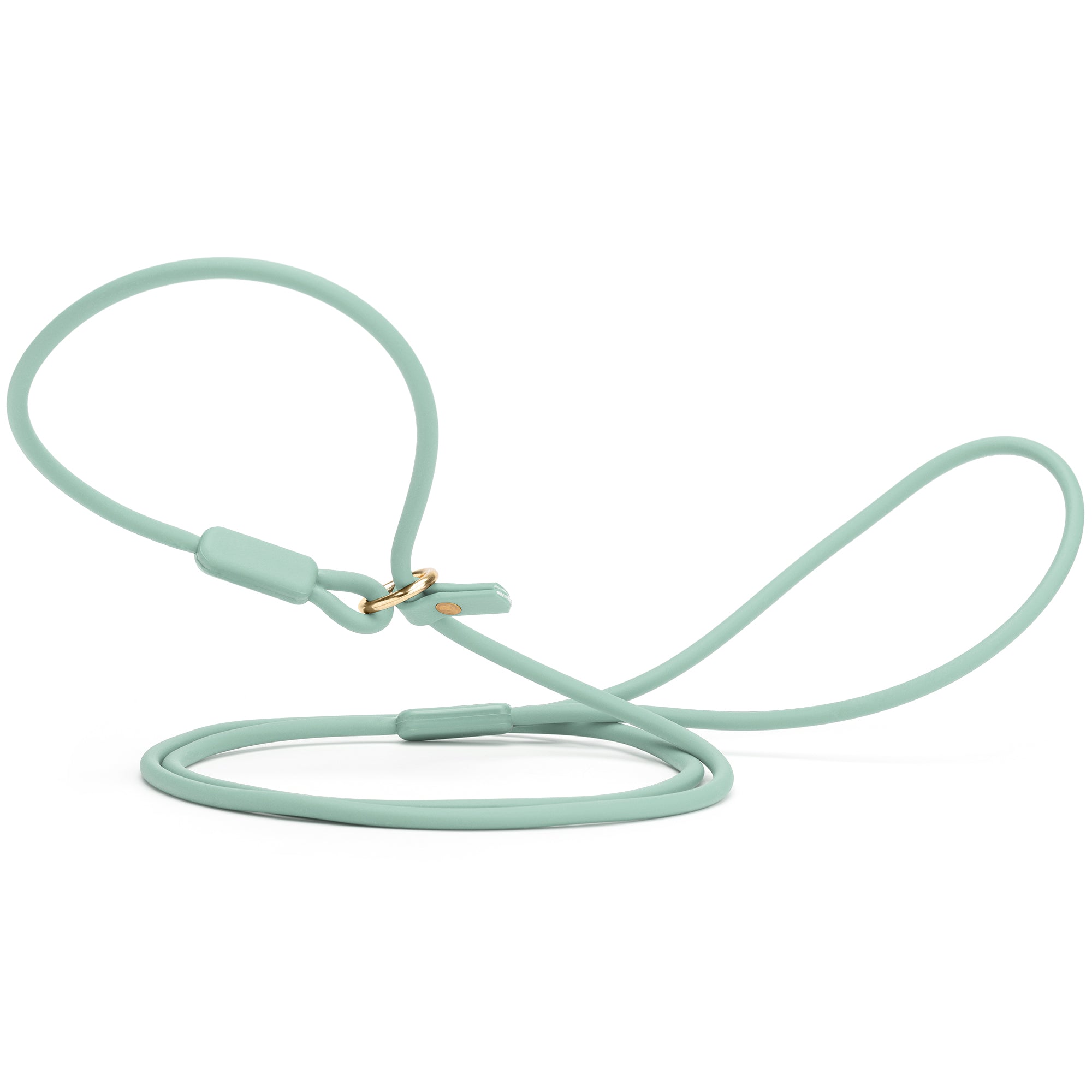 Viper Round Biothane Slip Lead with Brass Hardware