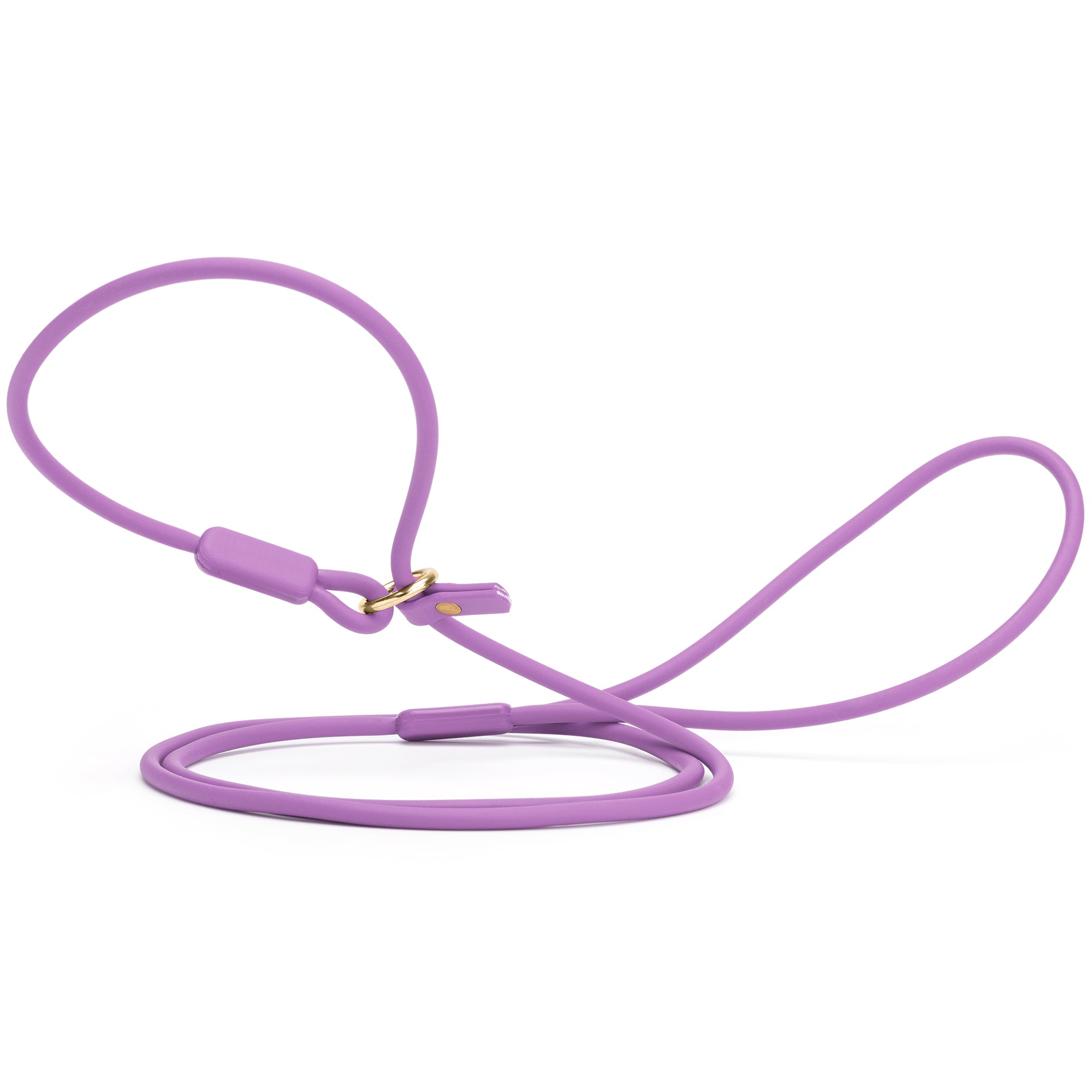 Viper Round Biothane Slip Lead with Brass Hardware