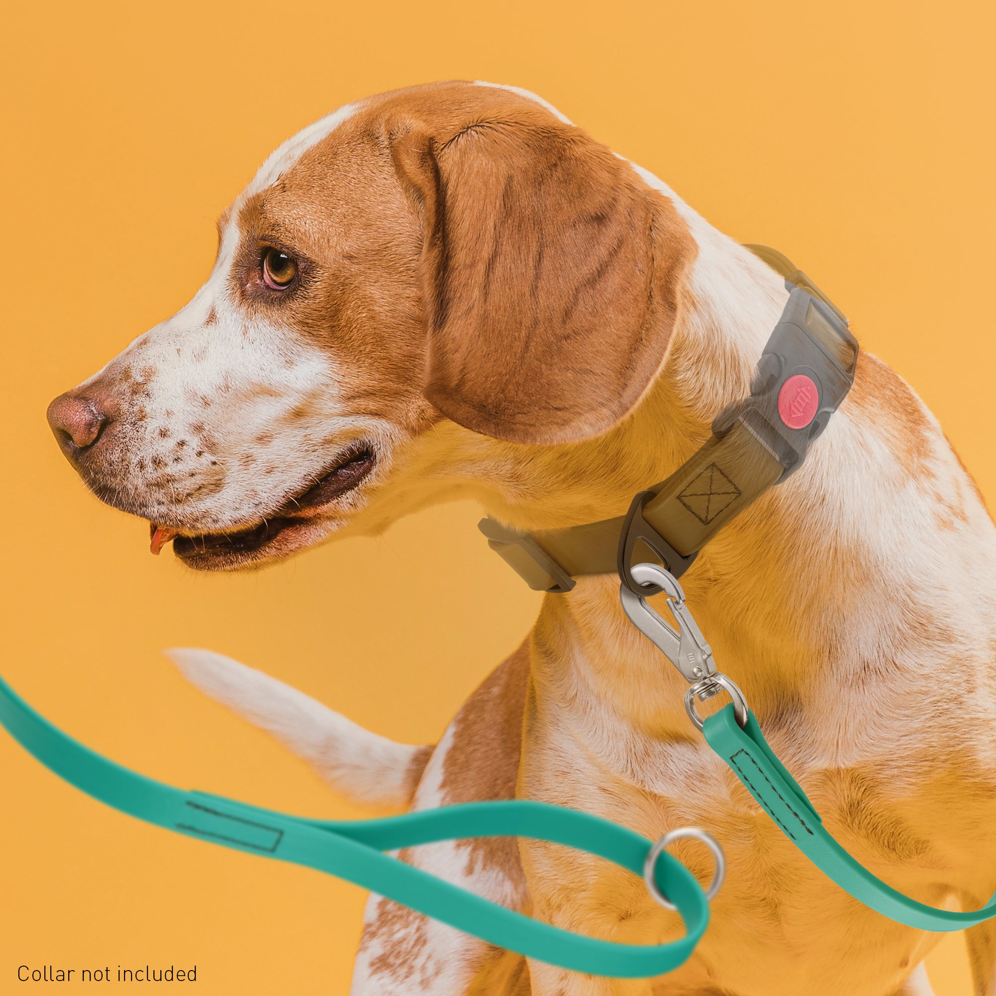 Viper Long Line 33 ft Biothane Dog Lead with SPRENGER Stainless Steel Hook