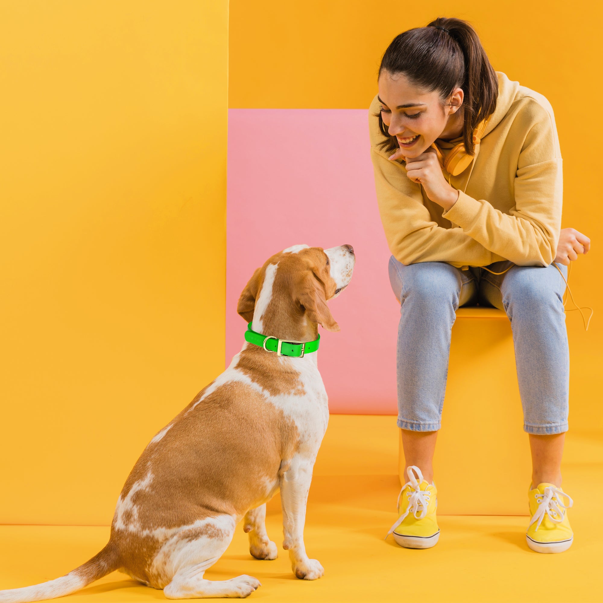 Viper Biothane Waterproof Dog Collar - Brass Hardware - Size M (15 to 18 inches)