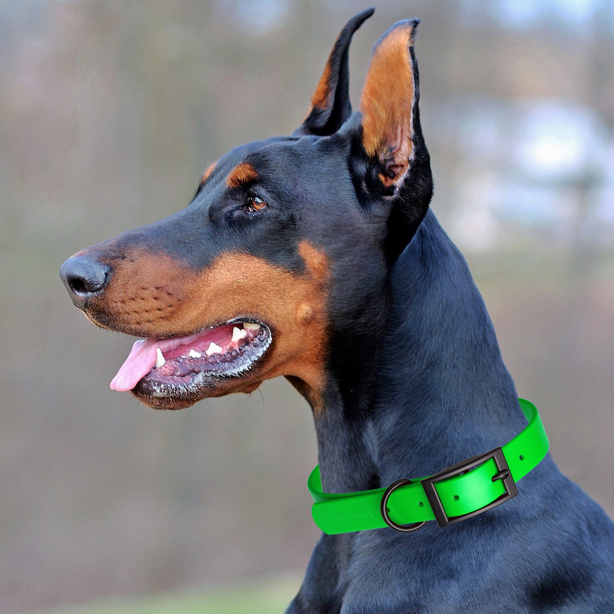 Dogline Biothane Waterproof Dog Collar with Black Hardware - Size XL (22 to 25 inches)