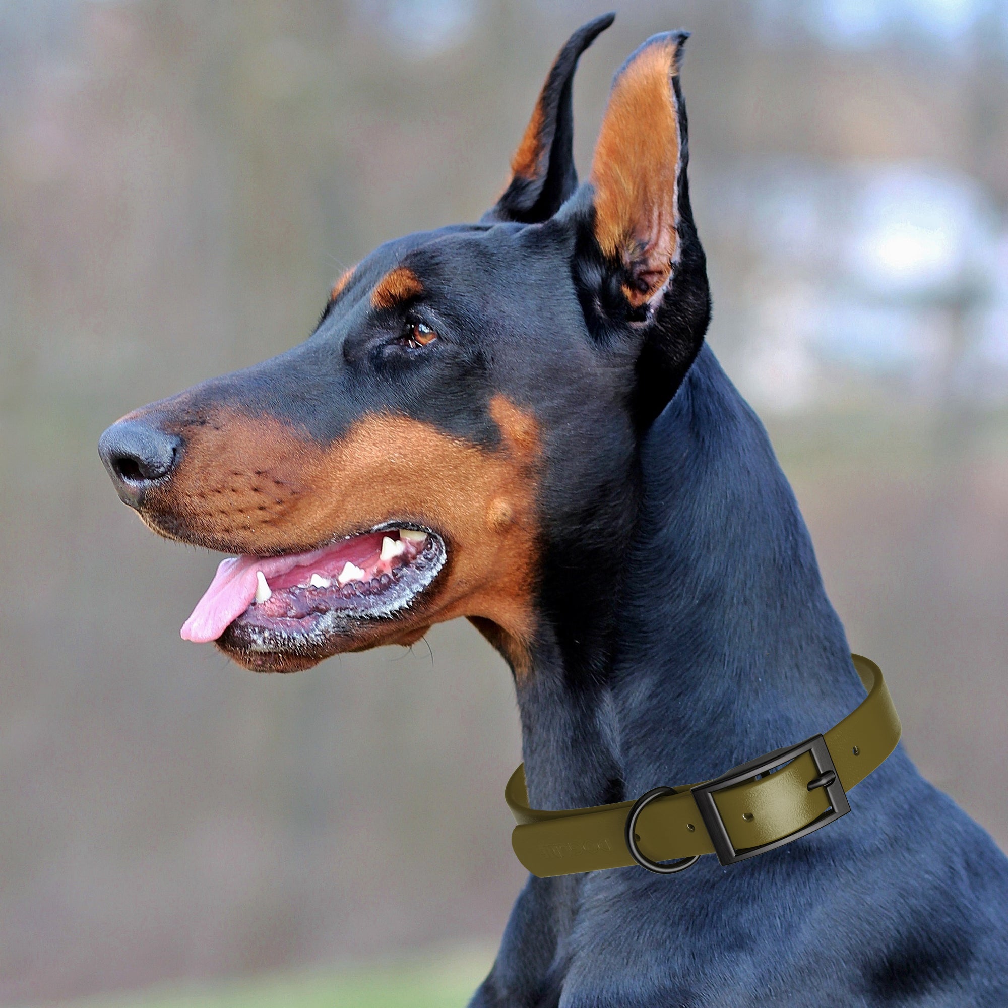 Dogline Biothane Waterproof Dog Collar with Black Hardware - Size M (15 to 18 inches)