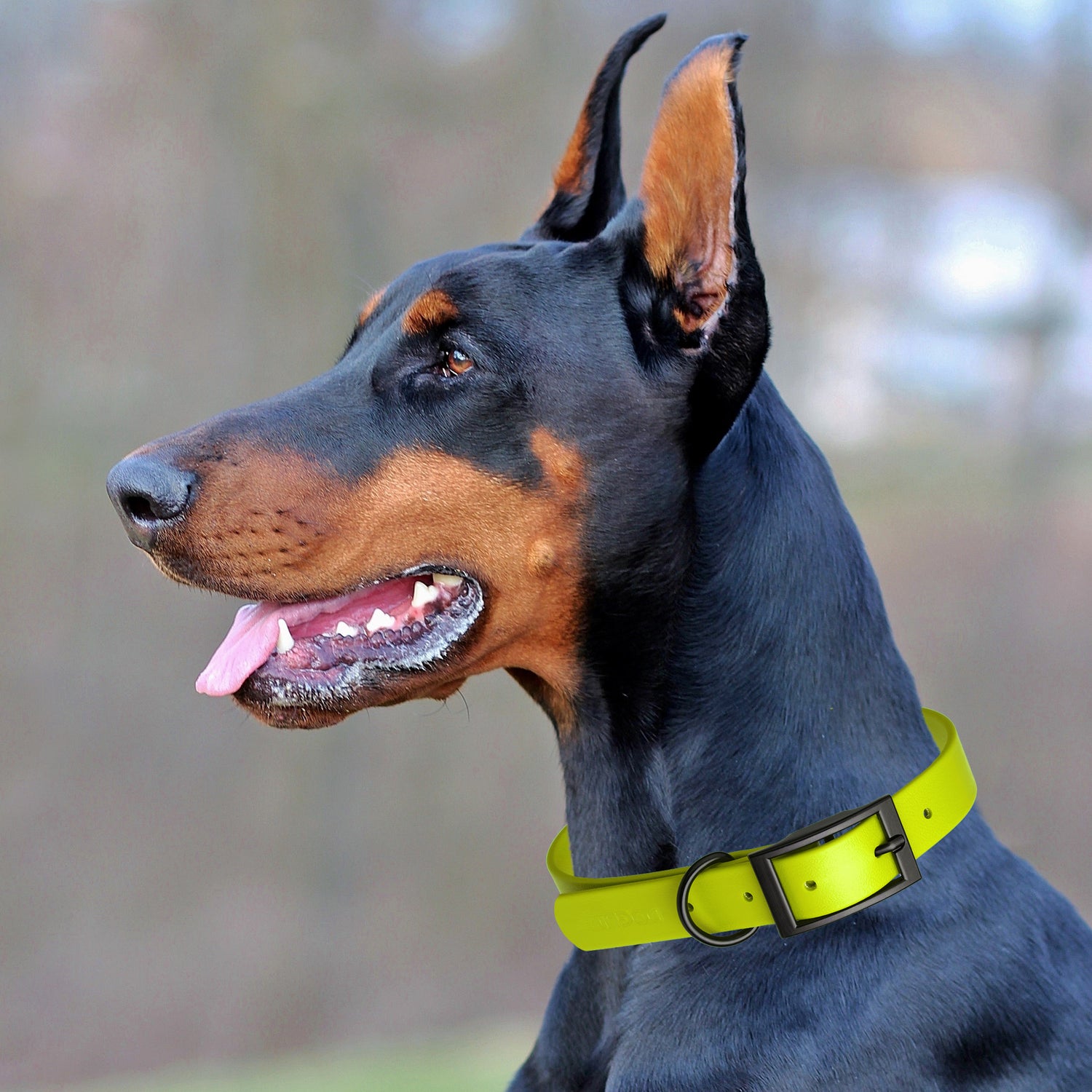 Dogline Biothane Waterproof Dog Collar with Black Hardware - Size L (18 to 22 inches)