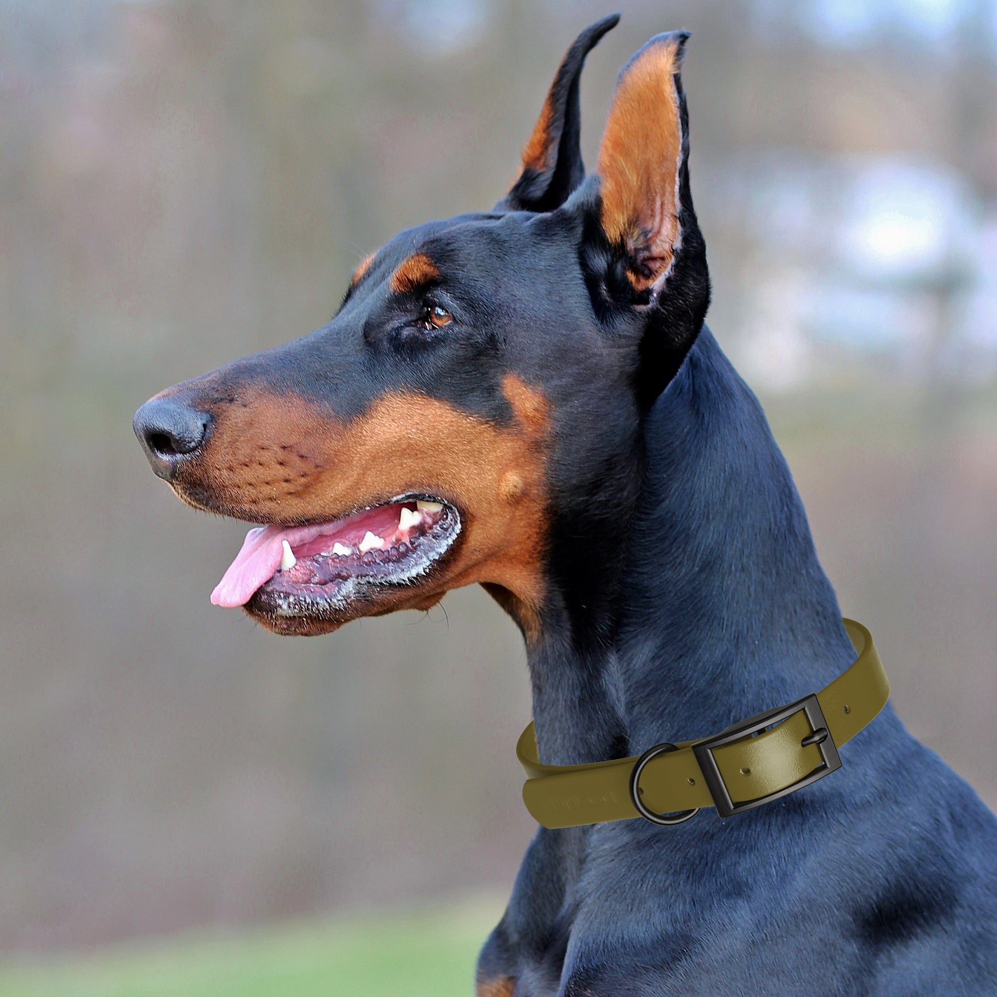 Dogline Biothane Waterproof Dog Collar with Black Hardware - Size S (12 to 15 inches)