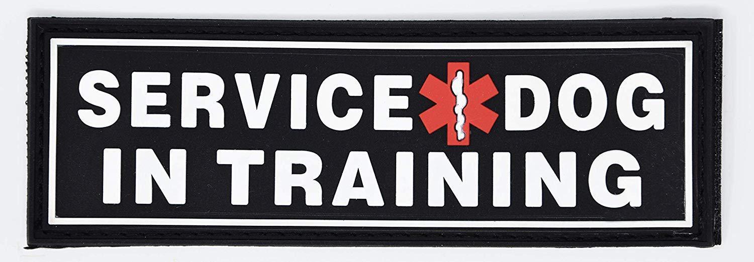Service Dog in Training rubber patch for dog harness, vest or dog collar, hook and loop fastener type
