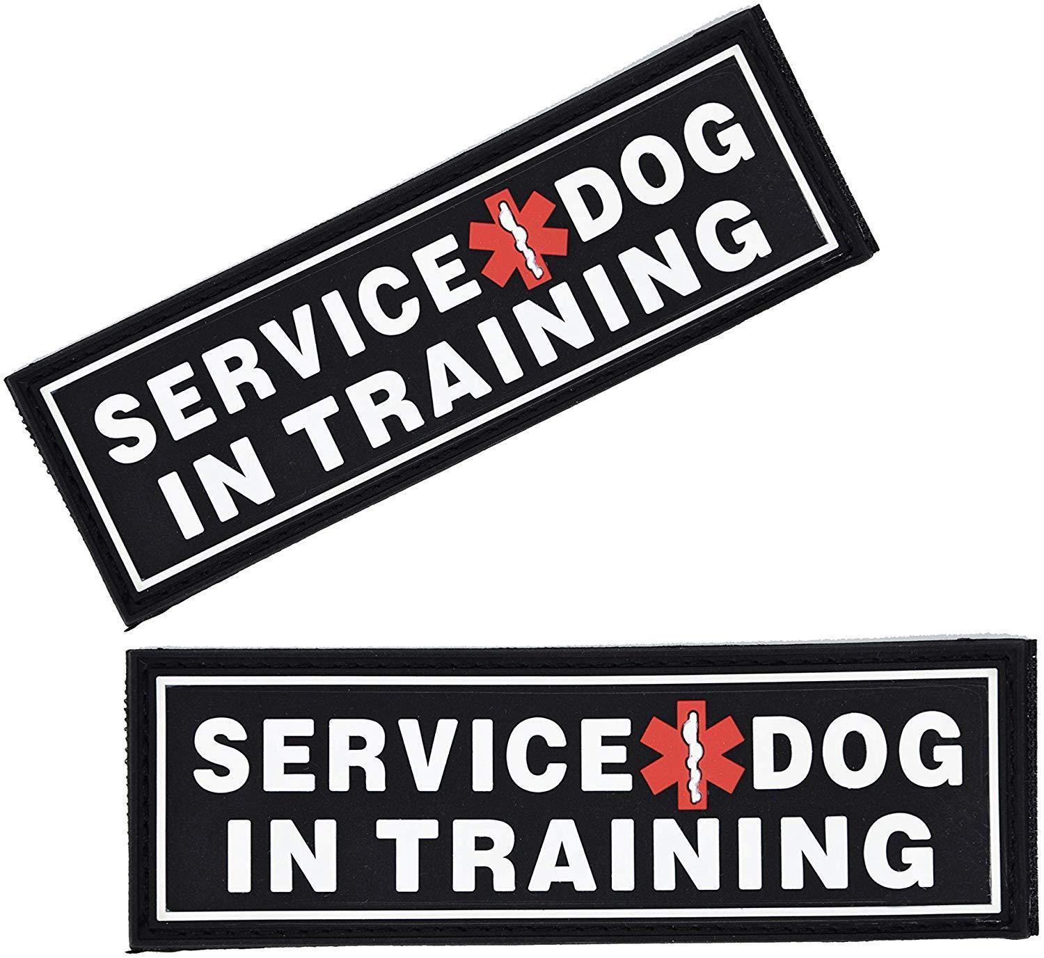 Service Dog in Training rubber patches for dog harness, vest or dog collar, hook and loop fastener type, set of two
