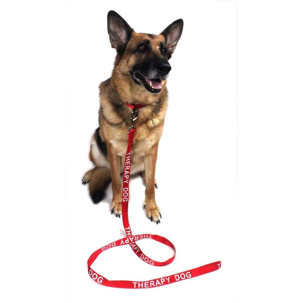 Dogline Reflective Nylon Dog Leash