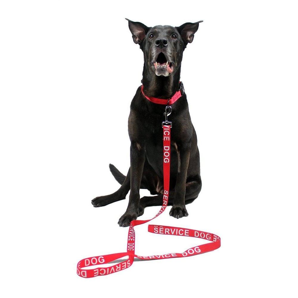 Dogline Reflective Nylon Dog Leash