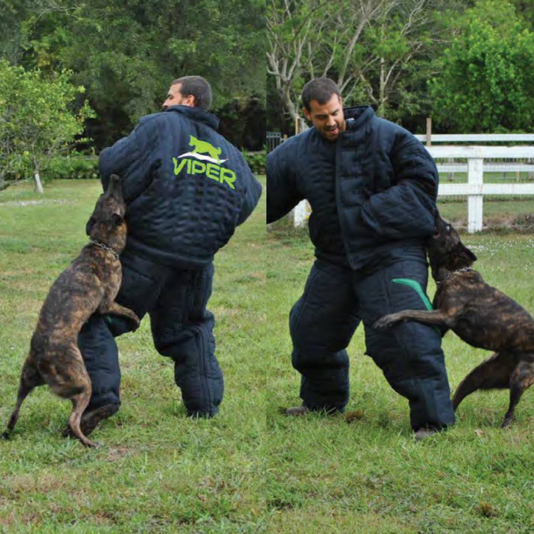 Bite suit for dog training