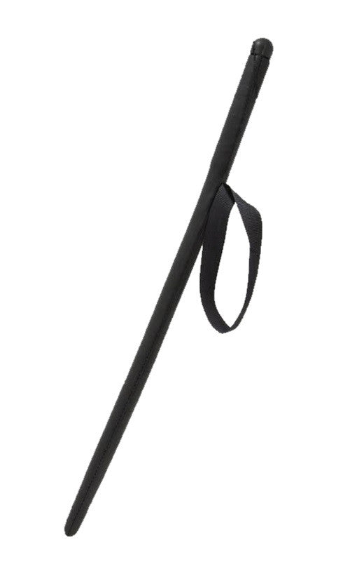 Agitation stick for dog training