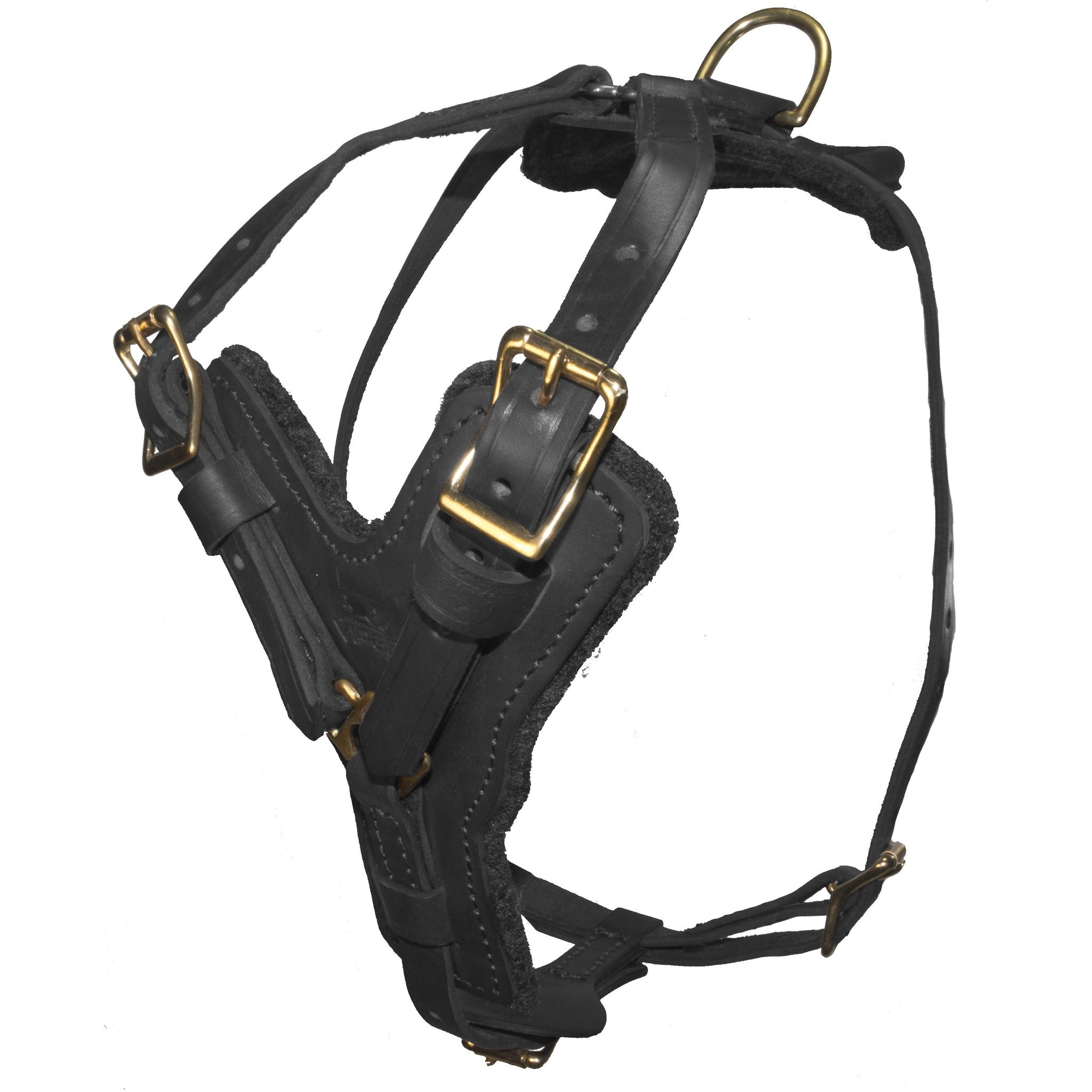 Leather dog harness with a padded chest plate and brass hardware