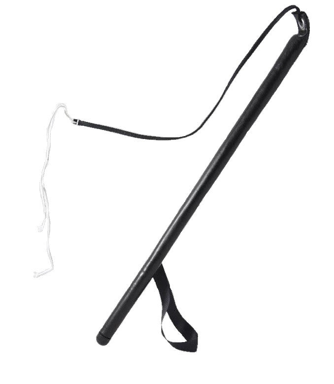 Agitation whip for dog training