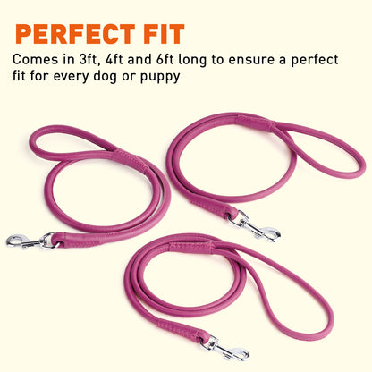 Dogline Soft Leather Round Lead