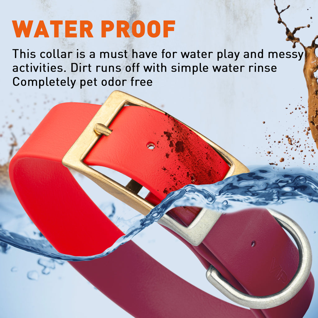 Viper Biothane Waterproof Collar - Brass Hardware - Size XXL, Wide (24 to 28 inches)