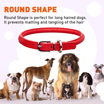 Dogline Soft Leather Round Collar