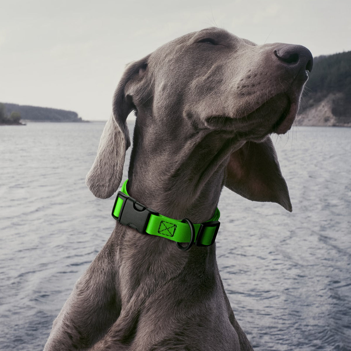 Dogline Biothane Waterproof Dog Collar with Quick Release Buckle