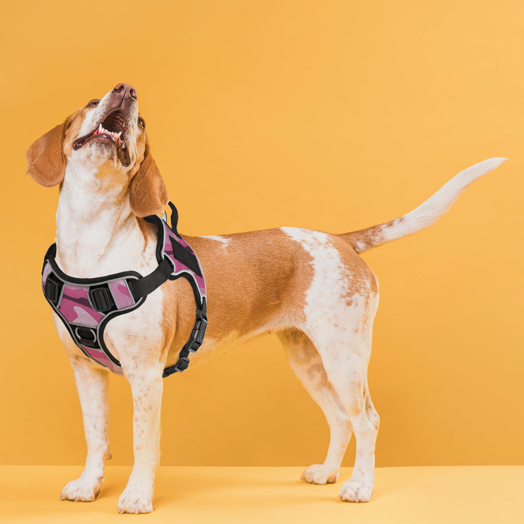 Dogline Quest Multi-Purpose Dog Harness
