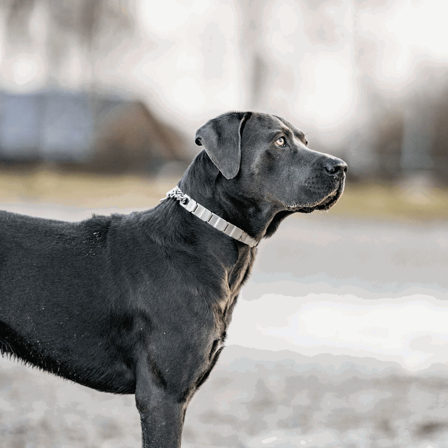 Herm sprenger neck sales tech