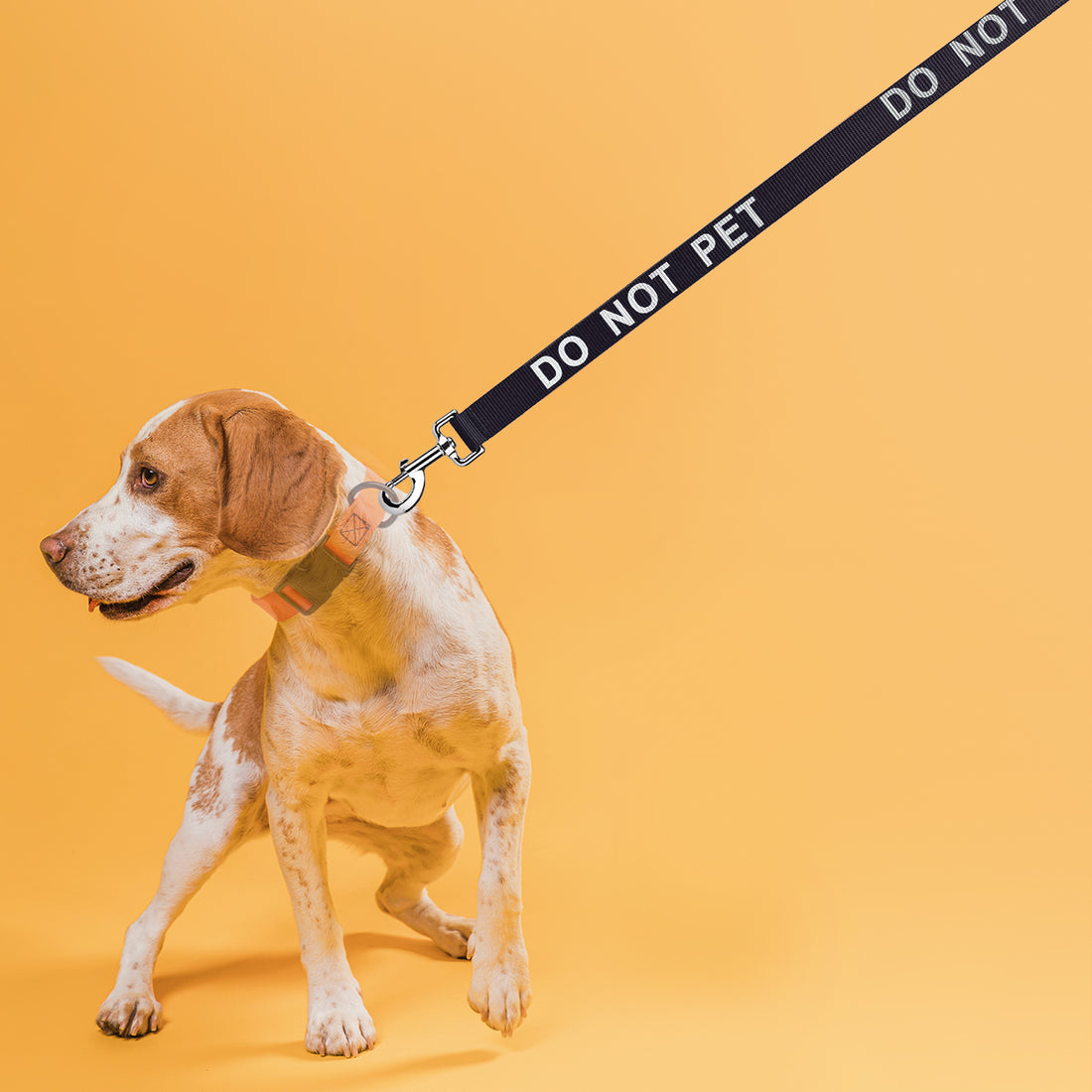 Dogline Reflective Nylon Leash