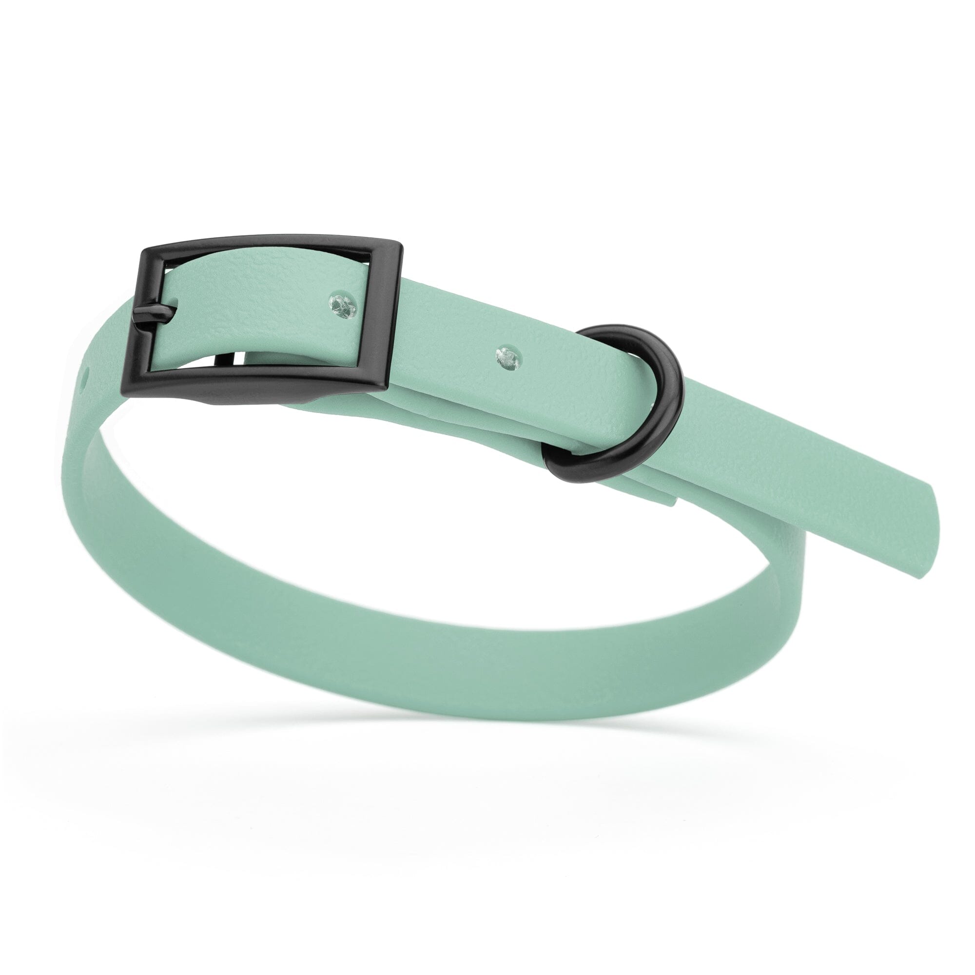 Sage Green dog collar with black buckle and D-ring, made from waterproof Biothane, x-small