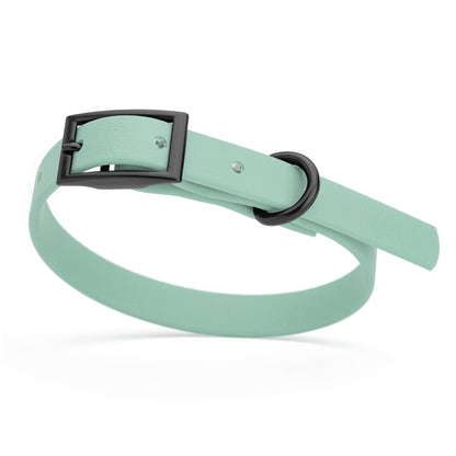Sage Green dog collar with black buckle and D-ring, made from waterproof Biothane, x-small