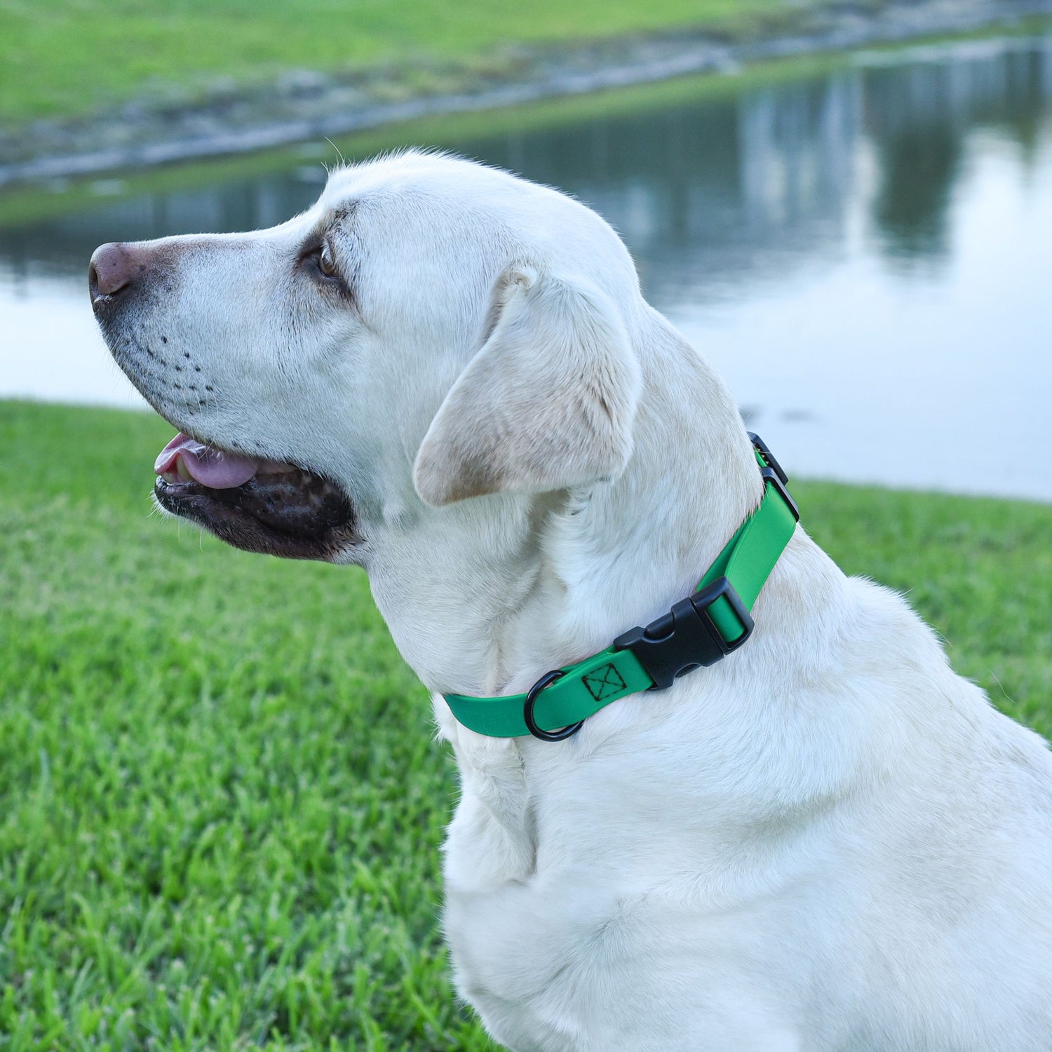 Dogline Biothane Waterproof Dog Collar with Quick Release Buckle