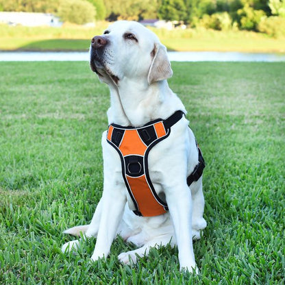 Dogline Quest Multi-Purpose Dog Harness