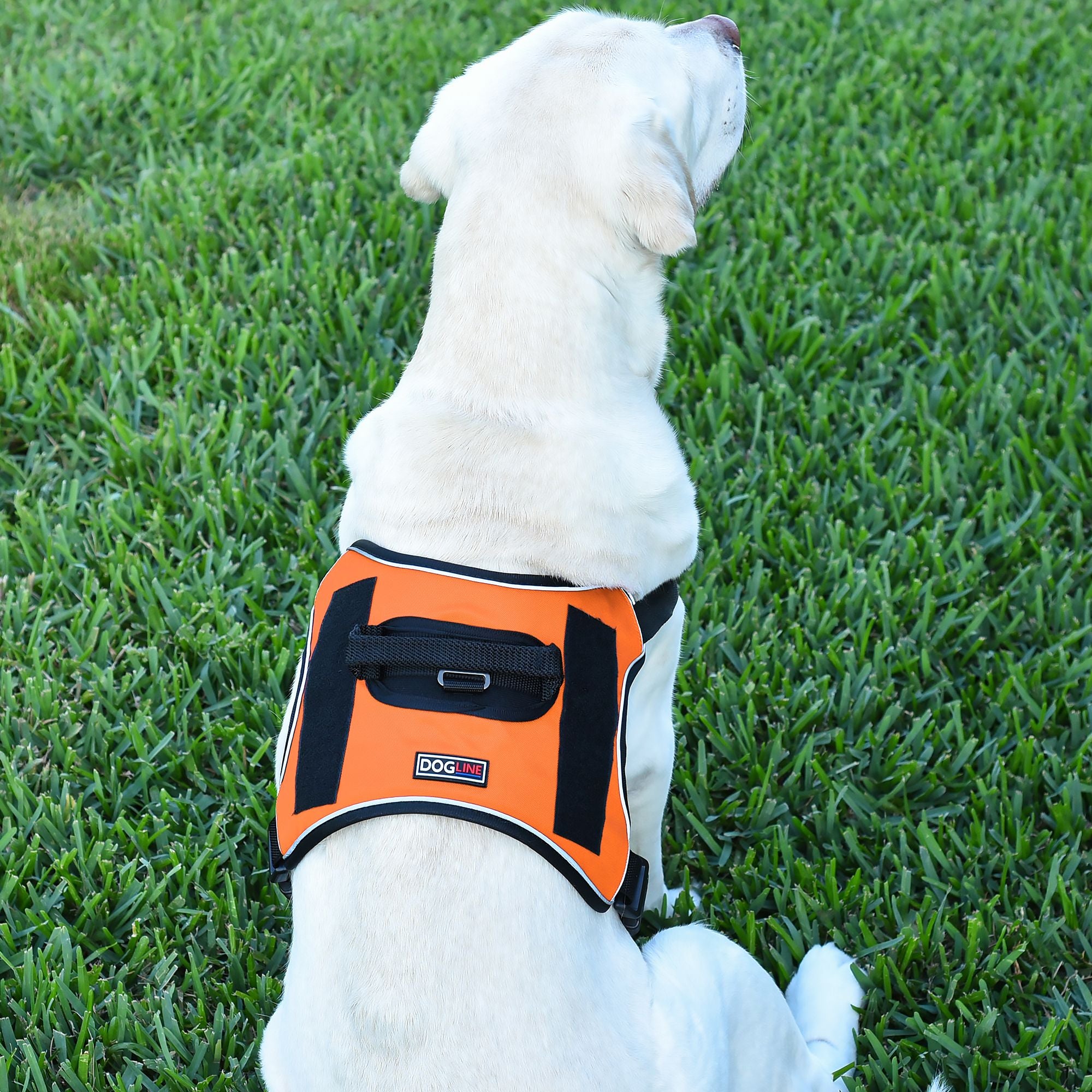 Dogline Quest Multi-Purpose Dog Harness