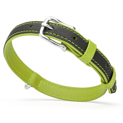 Black and green leather dog collar with silver metal hardware, width 3/4 inch