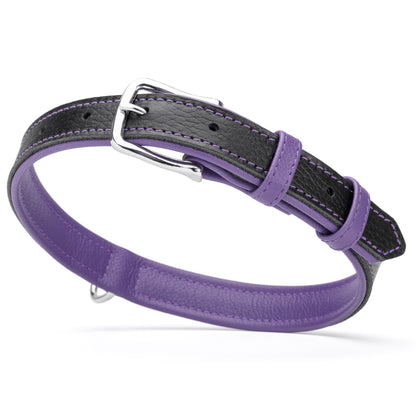 Two tone leather dog collar with silver metal buckle, 1 inch width, black and purple
