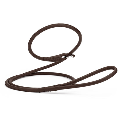 Dark brown leather slip leash for dogs, width 3/8 inch