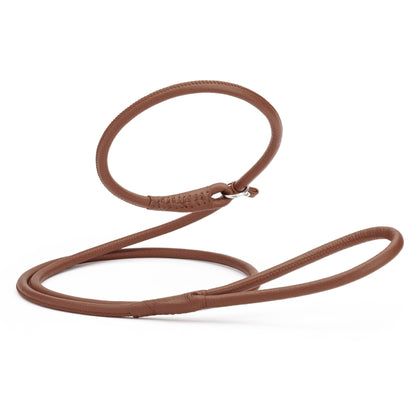 Brown leather slip leash for dogs, width 3/8 inch