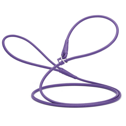 Purple leather slip lead for dogs with stopper and metal ring, 1/4 inch wide