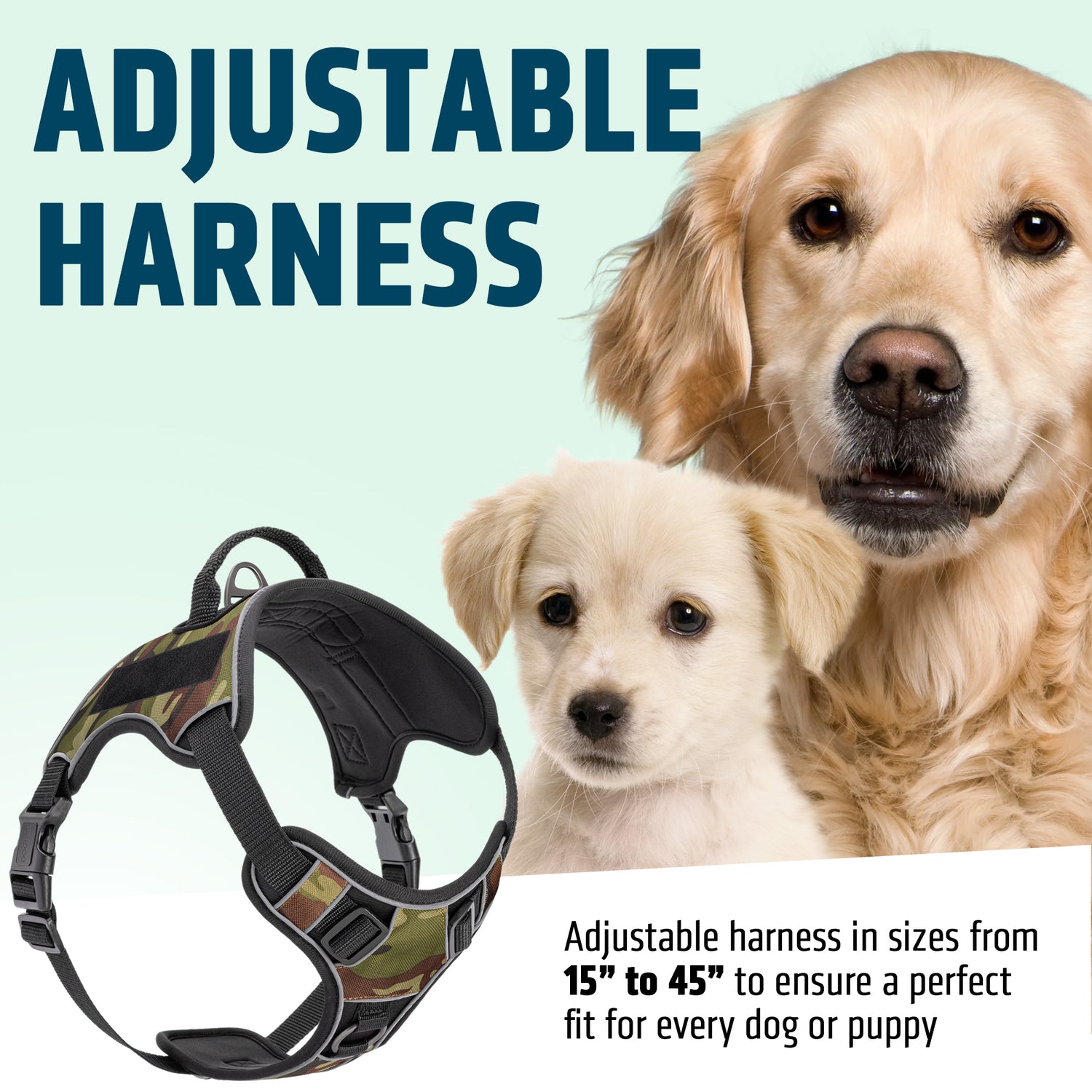 Dogline Quest Multi-Purpose Dog Harness