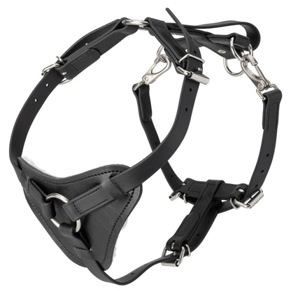 Biothane dog harness with handle, padded chest plate, and stainless steel hardware, adjustable straps