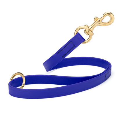 Blueberry Biothane traffic leash for dogs with brass hardware, 20 inches long