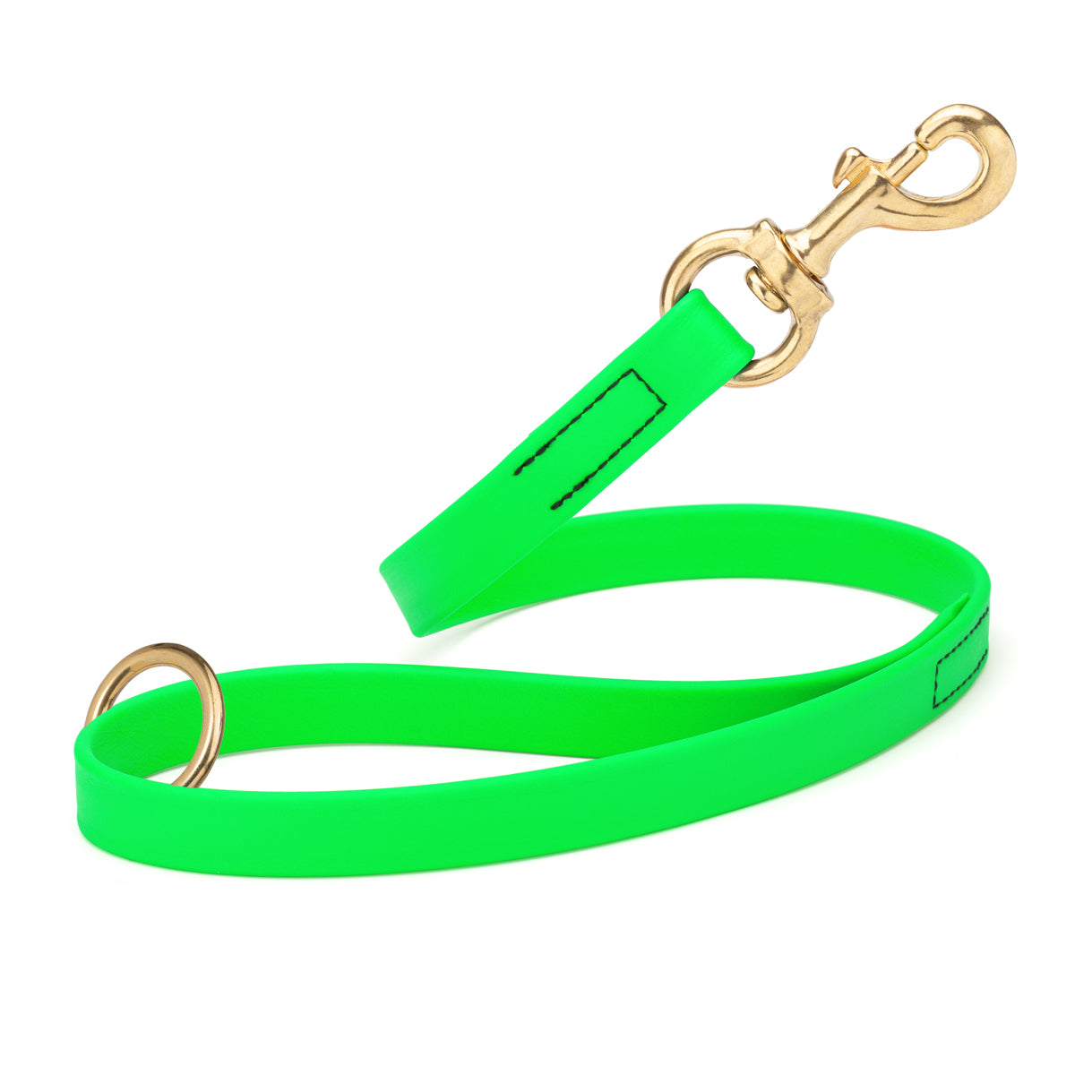 Tropical Green Biothane traffic leash for dogs with brass hardware, 20 inches long