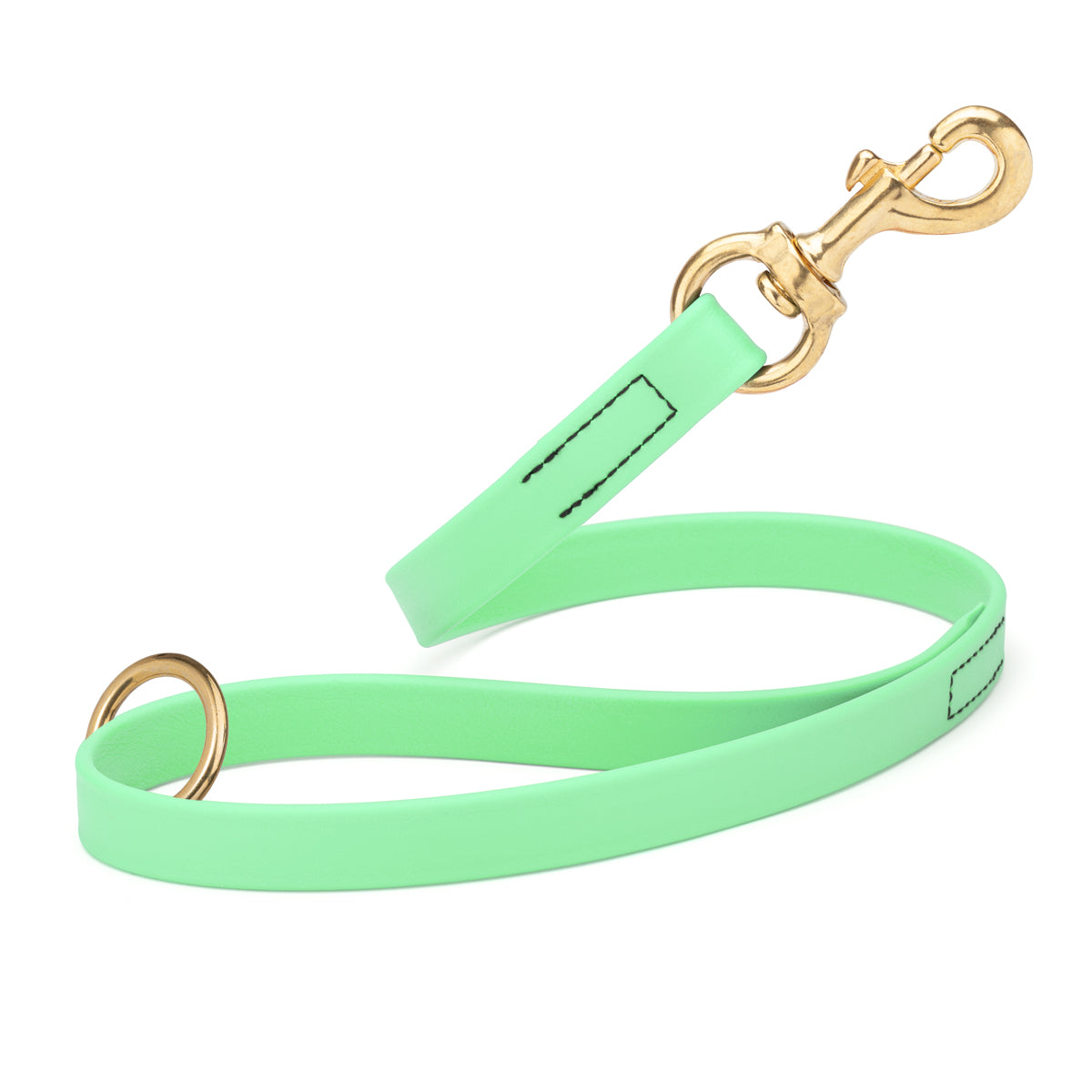 Seafoam Green Biothane traffic leash for dogs with brass hardware, 20 inches long