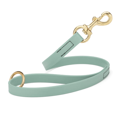 Sage Green Biothane traffic leash for dogs with brass hardware, 20 inches long