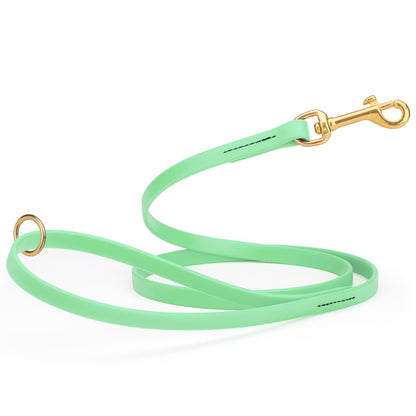 4ft dog leash made from waterproof Biothane, brass hardware, 1/2 inch wide, Seafoam Green