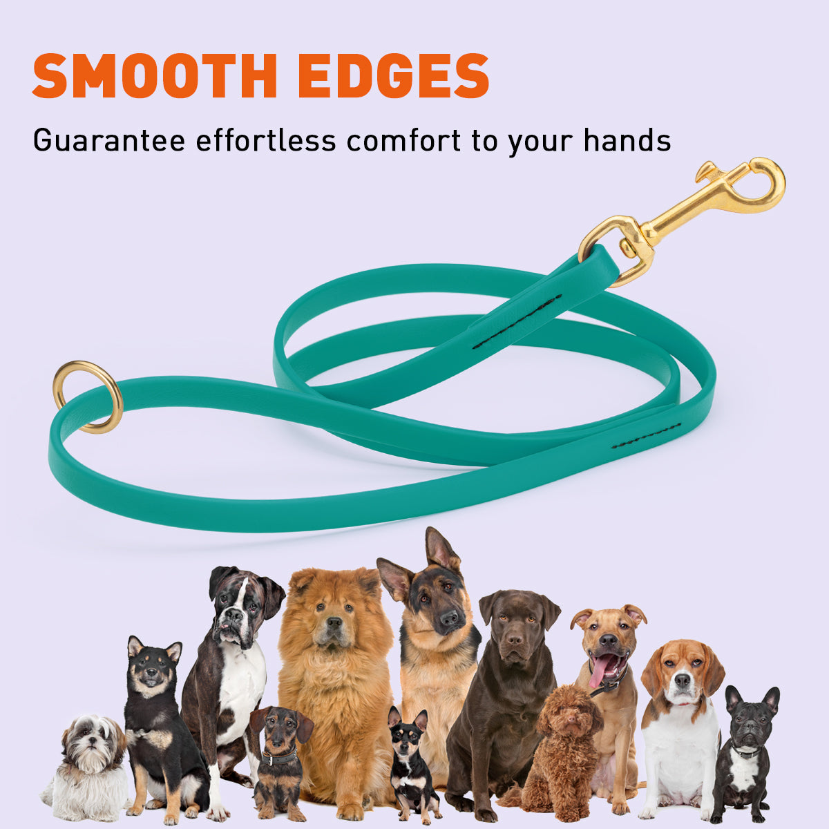 Biothane Working Dog Lead 4ft