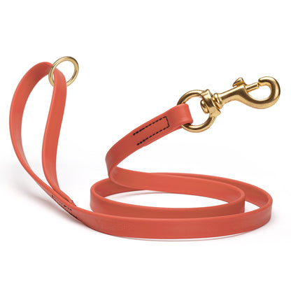 Waterproof Coral dog leash with brass hardware, 4 feet long, 5/8 or 3/4 inch wide, made from Biothane
