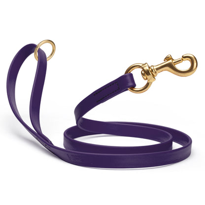Waterproof Violet Purple dog leash with brass hardware, 4 feet long, 5/8 or 3/4 inch wide, made from Biothane